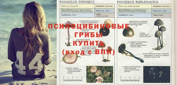 спайс Абдулино