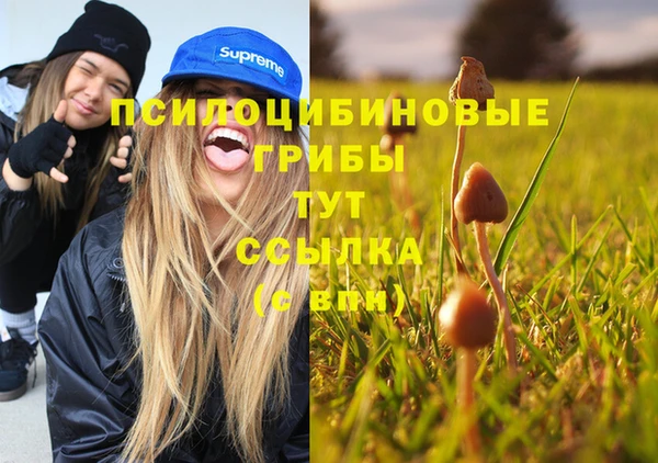 ешки Алексеевка