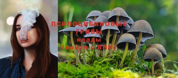 a pvp Алексин