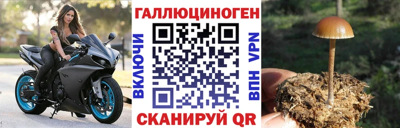 Псилоцибиновые грибы Magic Shrooms  наркотики  Приволжский 
